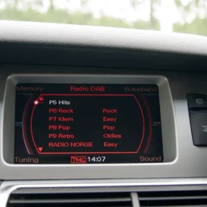 norDAB Premium DAB-integrering Audi
