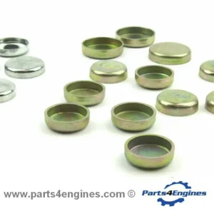 Perkins 4.248 Core Plug Set