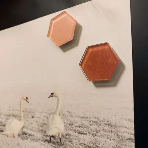 Superlekre magneter i dus Rose - 2 stk