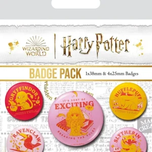 Harry Potter Pins Witty Witchcraft 5-pk