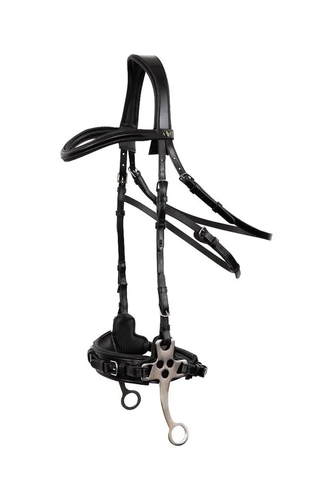 Lydney Anatomisk Hackamore F