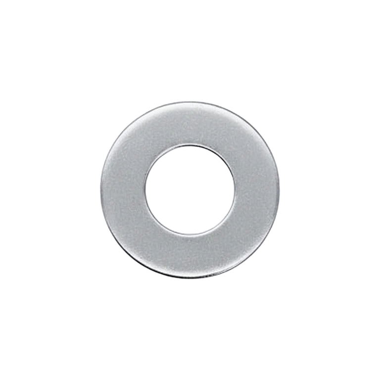 BRP skive 4 mm rustfri (5 stk) 234042600