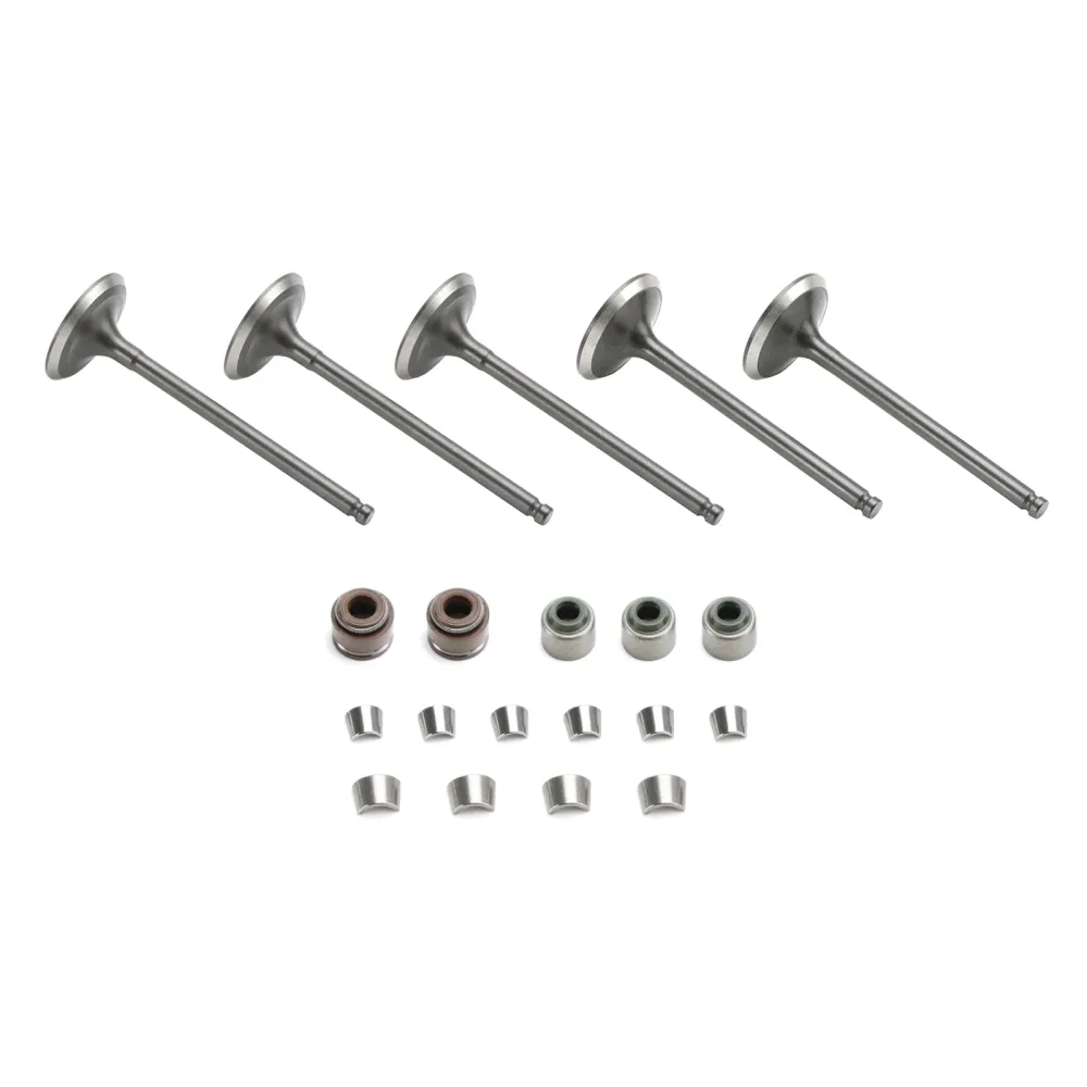 2003–2015 Yamaha WR450F Inntak & Eksosventiler med tetninger 5TA-12111-00 1WG-12118-00