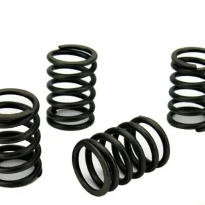 Perkins 415GM Valve Spring Set