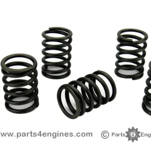 Perkins Perama M25 Valve Spring Set