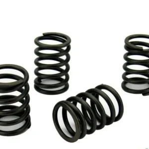 Perkins Perama M35 Valve Spring Set