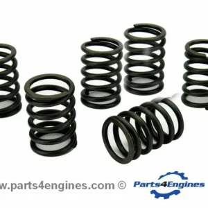 Perkins Perama MC42 Valve Spring Set (U98217470)