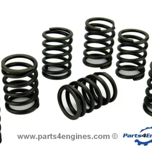Volvo Penta D2-60F Valve Spring Set (3580964)