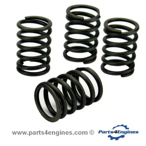 Volvo Penta MD2010 Valve Spring Set