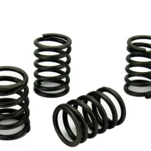 Volvo Penta MD2040 Valve Spring Set (3580964)