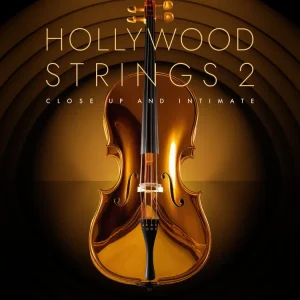 HOLLYWOOD BUNDLE