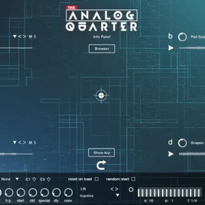 Micron – Analog Quarter