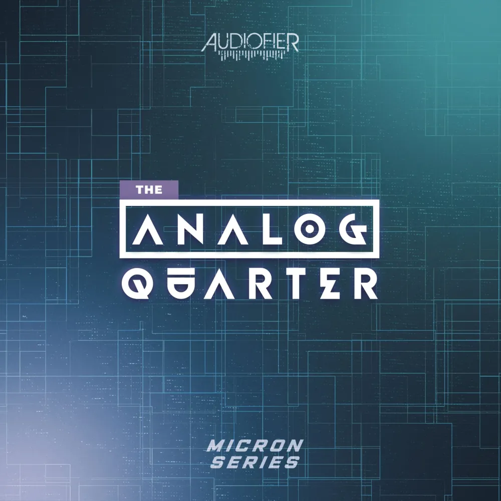 Micron – Analog Quarter