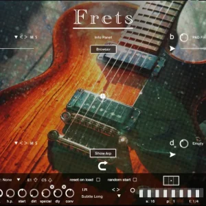 Micron – Frets