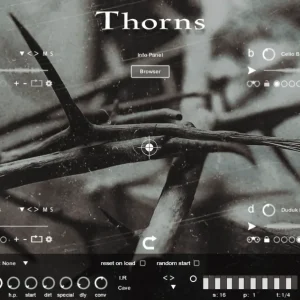 Micron - Thorns