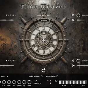 Micron – Time Weaver